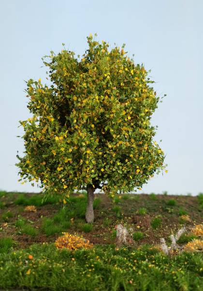 Kastanie Profiline Frühherbst H0/TT/N/Z